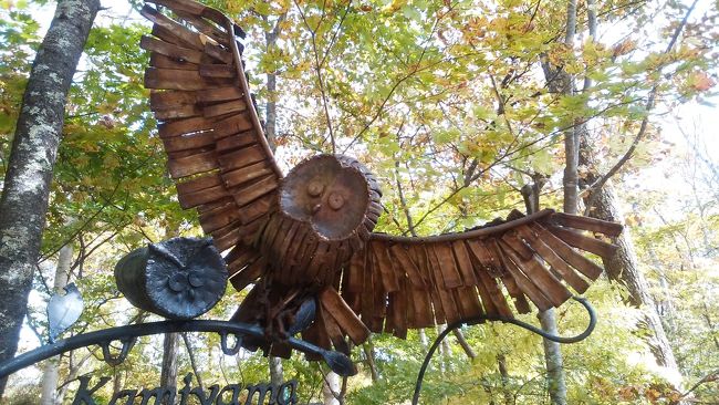 お茶の後は　森をちょっと散策しましょう