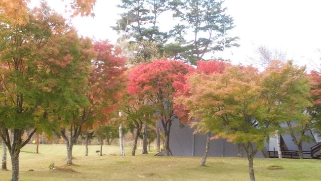 次の目的地までの移動途中にある　ヨドバシカメラ　八ヶ岳富士見高原スポーツセンターの紅葉がおすすめと案内してもらいました