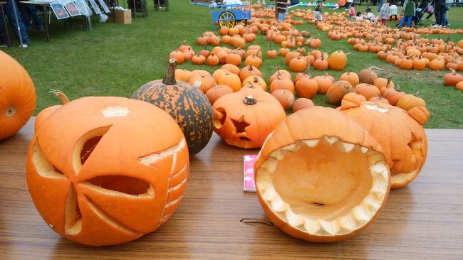 かぼちゃの写真だけをとり<br />帰路につきました。<br /><br />楽しい休日でした！