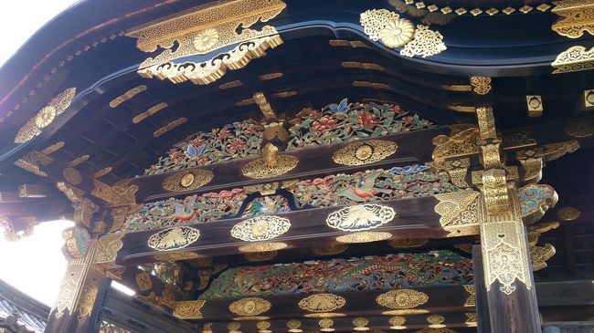 色あせてなくとてもきれいに光っていたので調べたら修復したばかりの唐門<br />修復中で見れない清水寺もあれば逆もあり