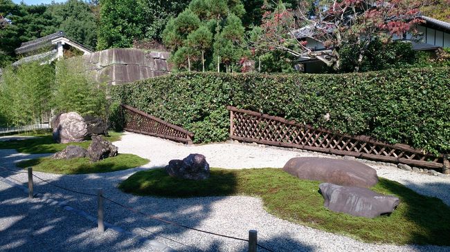 加茂七石<br />しぶいね<br />でも暑くて