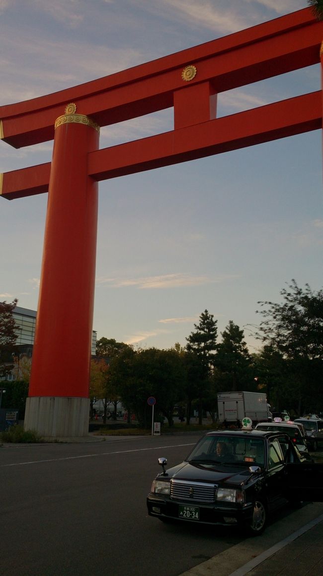 自分で調べたのに何故帰りは降りたバス停から乗るのか理解できず<br />周回バスだったんだろうか