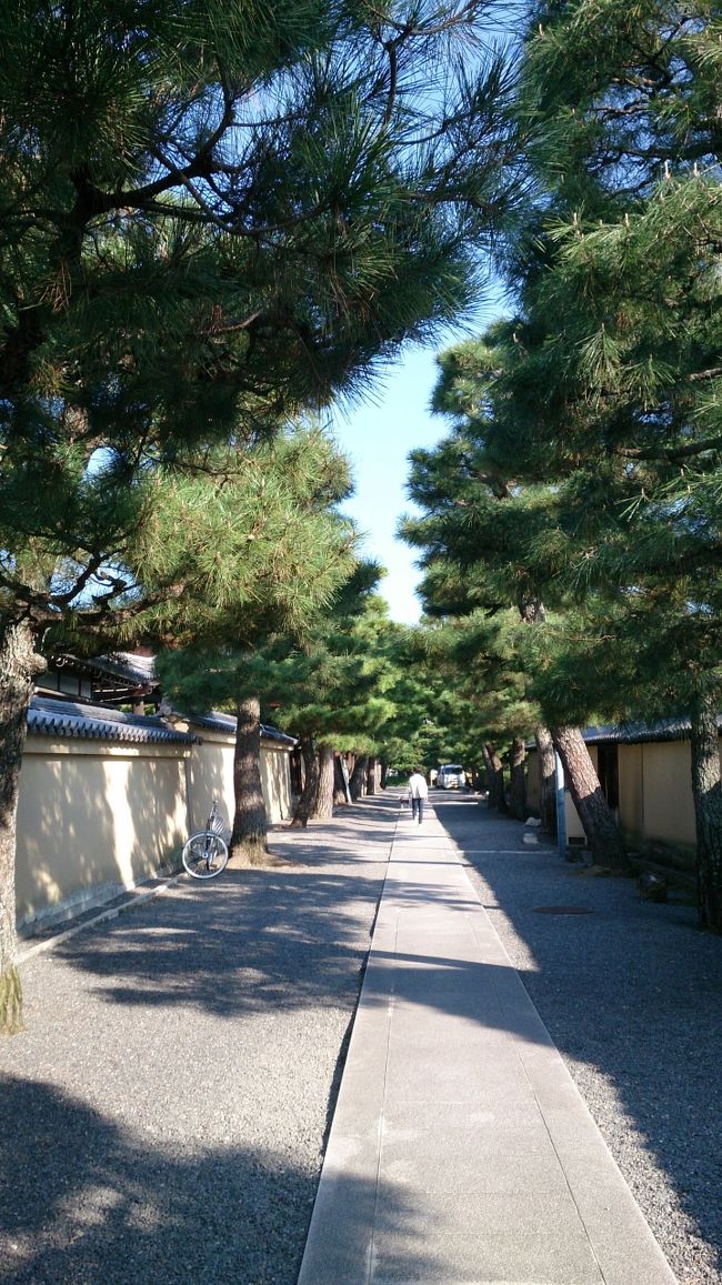 8:32<br />大徳寺前バス停下車<br />相国寺に似てる
