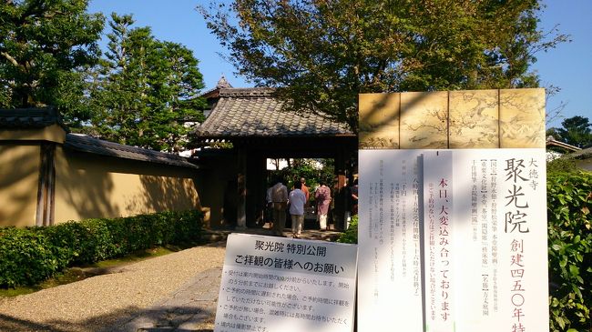 8:45<br />聚光院到着<br />9時予約の方で一杯でした<br />15人もいるとふすまの外から見る範囲が限られているため1列目に座って見ないと<br />後ろじゃ見回しずらいんです<br />2列以上になって説明が終わってから2列目の人が見てじっくり見ようとすると次の部屋の説明が始まってしまう