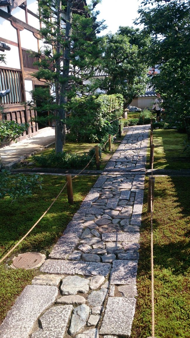 お坊さんかと思ったらパートのスタッフおばさんみたいが説明するよう<br />ネームプレート首に掛けた女性スタッフが10人くらい受付にいて<br />完全に商売化してますね<br />荷物は大きいものだけで小さいものは持っていてもいいと<br />スマホも財布も預けなくて大丈夫です<br />受付にトイレありました