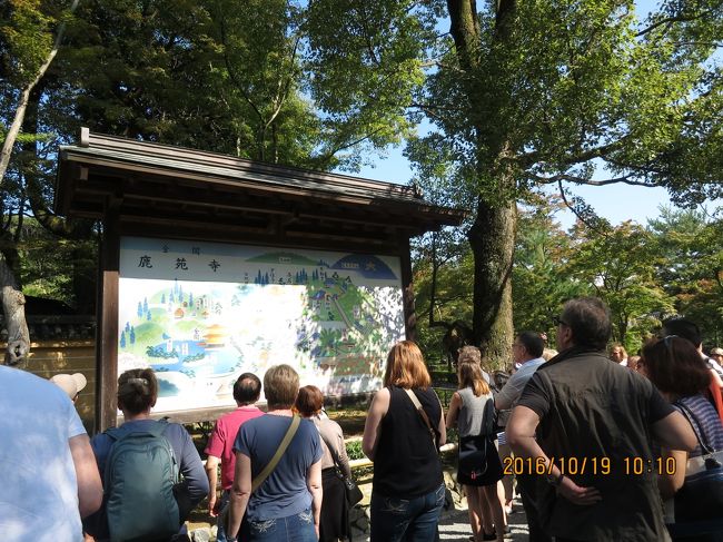 10:10<br />来たバスに乗って金閣寺まで<br />大徳寺も白人ツアーがいたけどこっちはその比じゃありません