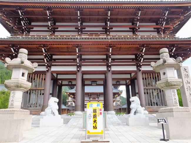 九頭竜湖を通り、大野で街歩き、平泉寺で静寂、越前大仏の大きさに驚き!旅