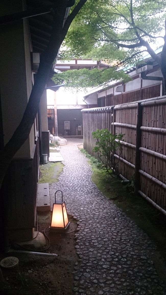 白人もウロウロしてる<br />私たちもスペインで路地ウロウロしたんで<br />考えることは同じですね