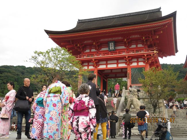 平日でもすごい人<br />土日とそれほど変わらないんじゃないだろうか<br />15:47<br />清水寺にやっと到着<br />坂道キツイわ