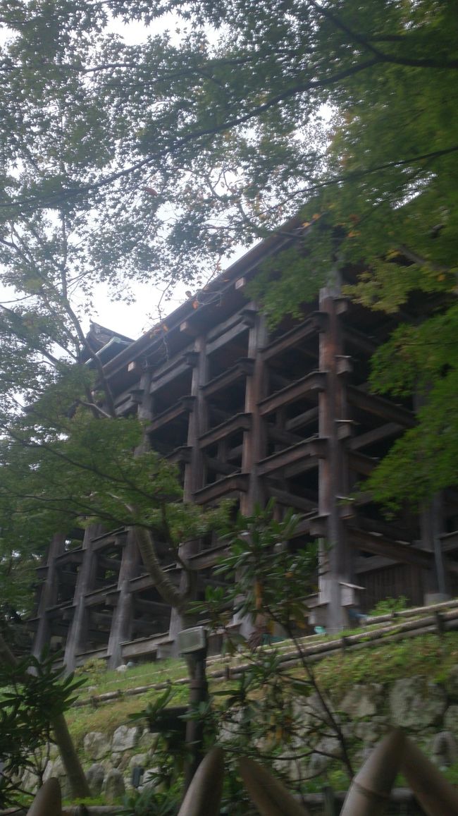 舞台を見たらすぐ降りてきてしまいました<br />本来なら見学できるはずの所が修復のため半分くらい見れなかった<br />のですぐ終わってしまう。<br />別角度から舞台を見ることはできません<br />敷地の半分見学できないのに同じ金額？注意喚起して欲しいわ<br />舞台の下の骨組みも順番に改修しているようです