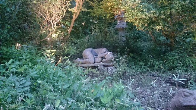 すぐ横の茂みにあれは何？とカメラを向けたらこんなのが撮れてたのだとか<br />白人女性？みたいな石。怖い