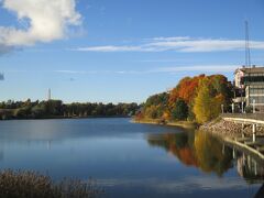 ヘルシンキ中央駅からキアズマ現代美術館方面に行き、１０分ほど歩くとトーロ湾へ着きます。湾の近くには公園があり、子供から大人まで楽しんでいました。

湾は波がないためか、鏡のように綺麗。湾の周りは遊歩道になっており、犬の散歩やランニングしている人が多いです。歩いてみることにしました。