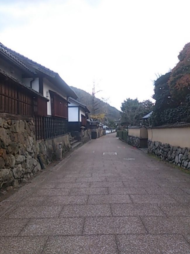 出雲大社から出雲大社北島国造館をずーっと超えて歩いていく道。こっちまで来ると人もあまりいません。静か。