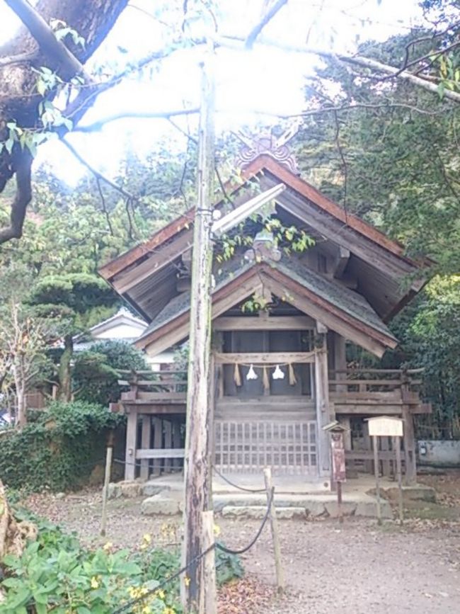 徒歩5分ほどでたどり着くのが命主社（いのちぬしのやしろ）。ここもなんだか明るくなってました。天地開闢の造化三神の一柱、神皇産霊神（かみむすびのかみ）が祀られています。