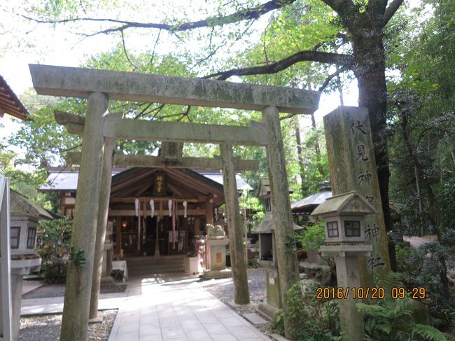右の山道に逸れ伏見神宝神社に迷い込んだが綺麗に管理されていて来て正解