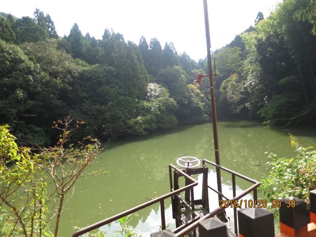 地図にはこだまケ池と書いてあるのに表示は新池<br />？と混乱しましたが同じもののようです<br />少しだけど山を登った所にある池というだけで興味沸いてくる<br />山登りよくするけど上に池ってあまり見ないから<br />おまけに鯉までいる<br /><br />