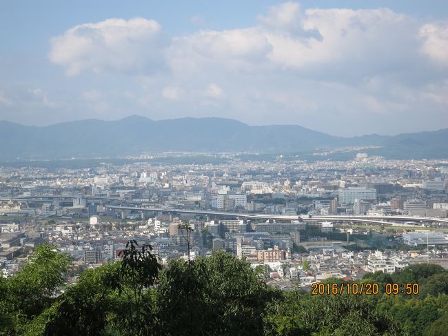 地図を見て最大9:55までには折り返そうと思っていた四ノ辻<br />今9:50なので調度良かった<br />千本鳥居の入口奥宮から1回だけ立ち止まって早めに歩いて20分