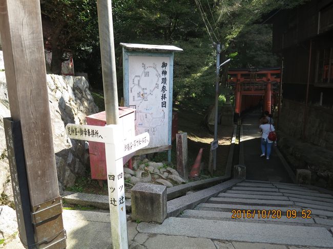 1人だったら頂上まで登るんだけど<br />ここは登ってなんぼでしょ<br />制限時間と同行者が嫌がるので下山