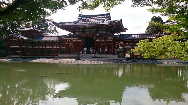 13:00　平等院<br />鳳凰堂の内部に入るにはチケットがいるとリサーチ済みだったけど<br />時間がないと思ってやめた<br />後から考えると入ればよかった<br />待ち時間無かったから<br /><br />正面から見ると飛び立つ感じに見えます<br />水面に揺らぐ本殿の図が見どころです