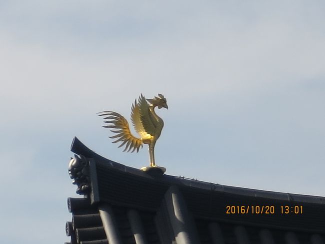 鳳凰は瑞鳥、よろこびの鳥で良い知らせをするために降り立ったそうです<br />大多数が漆を使った金箔加工ですが