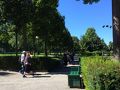 世界遺産の街ベルンを見下ろす丘のバラ公園。
ここっては昔は墓地だったらしい！

1913年頃に花を植え
池を造り公園に生まれ変わった。