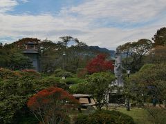 沼田公園
木々は色付き始めています