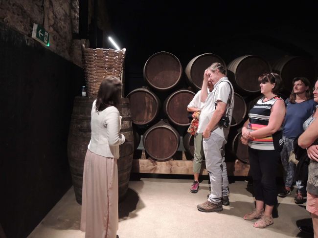 英語ツアーが始まりました。<br />左の女性がガイドさん、観光客は10人位です。<br /><br />すご～く丁寧に説明してくれましたが、<br />半分位、理解できたかなぁ～？？？？<br />でも、なかなか経験できない事だし、<br />ワイン好きなら１度はツアーに参加する事、おすすめです！
