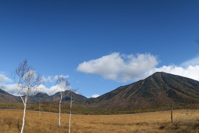 戦場ヶ原<br /><br />　今夏は8日間ここで過ごしましたが、飽きることはありません。同じ道を何度も何度でも歩きます。気に入った道なら10度や20度はは歩かないと。<br /><br />