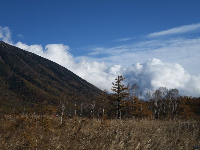 戦場ヶ原２<br /><br />　山は男体山です　信仰の山ですので私は登りません。雲におまかせです。それにしてもこの空の色、奥日光ブルーに近づいています
