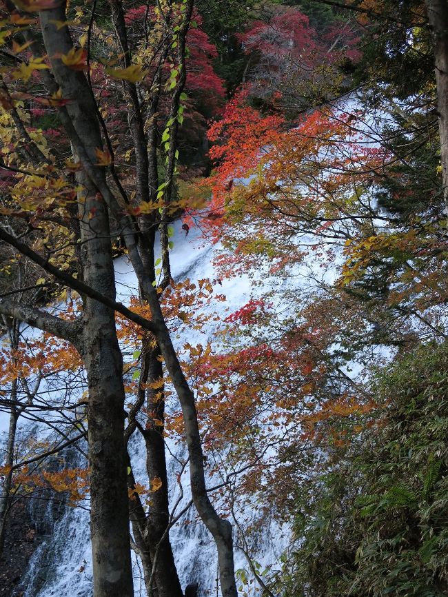 湯滝<br /><br />　正確には温泉割りの滝。日光は火山がいっぱい、そのマグマに堰き止められて滝もいっぱい。少なくとも華厳の滝、竜頭の滝、霧降の滝、裏見の滝はすべて廻りたい。