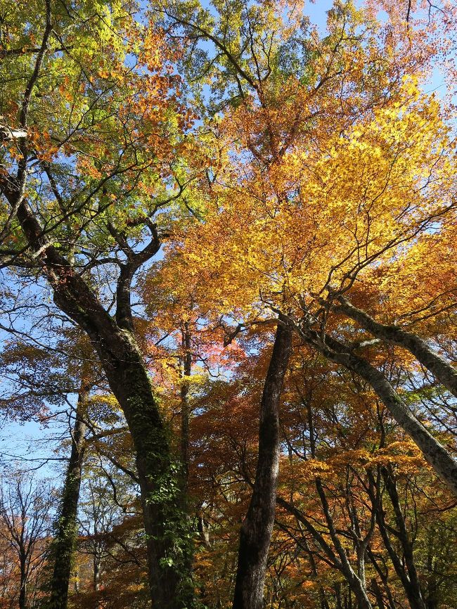千手が原２<br /><br />　私が高天原と仰ぐところ、下界の者は入ってはいけません