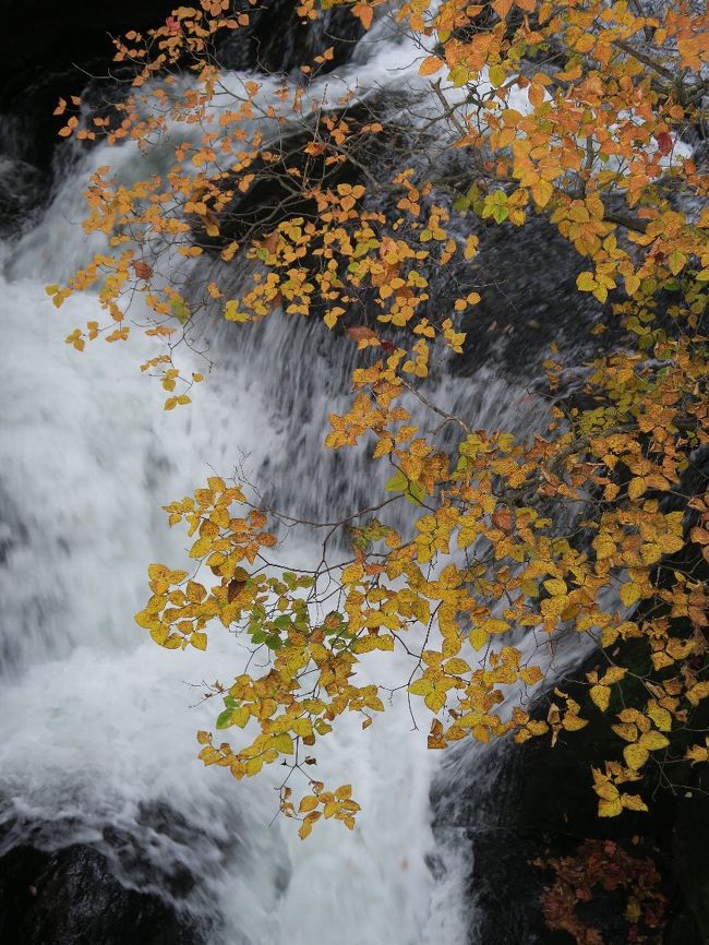 竜頭の滝２<br /><br />　そのわずか10ｍ隣り、誰もいません