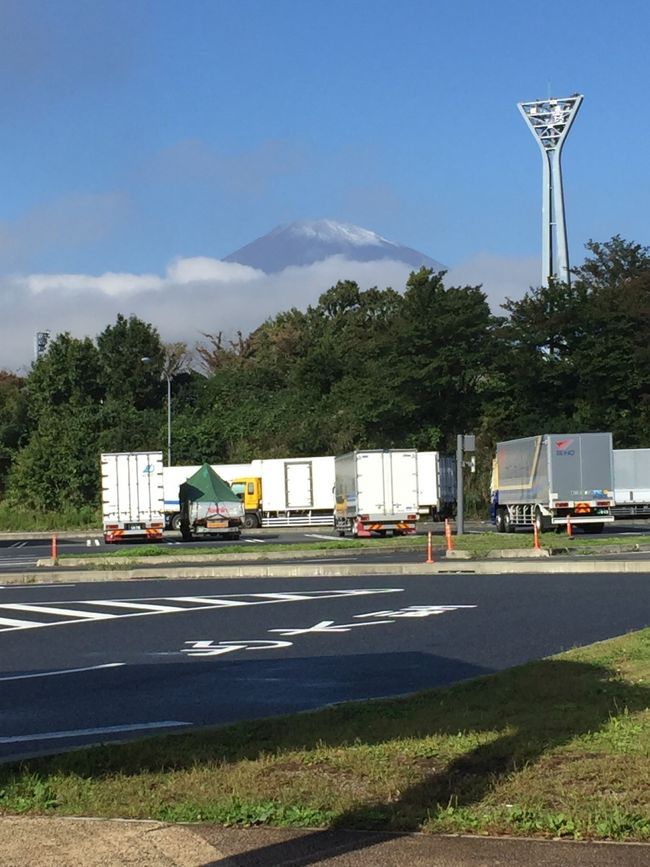 途中休憩のSAで、頭が雲の上に出た富士山を見る事が出来ました！<br />今日は晴天なり、です。