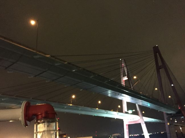 橋をくぐって海に出ます。