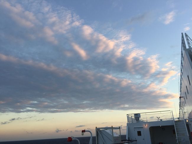 昨晩はテレビ見てから寝ようと思いつつ、途中で寝落ち。朝、早かったので。しかし、すぐに目が覚めてうつらうつらするうちに、朝になりました。日の出です。