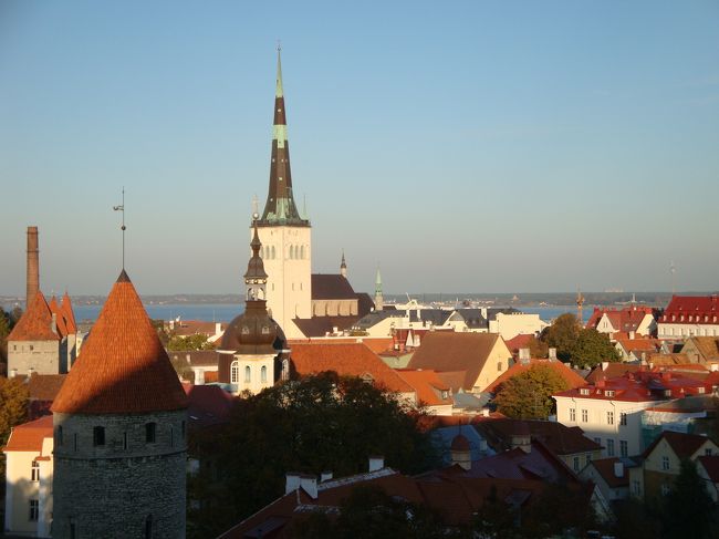 展望台からのタリンの街。