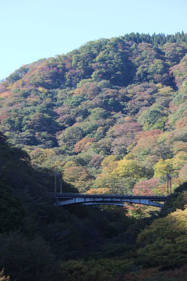 めがね橋より<br />もう列車が通ることのない橋<br />新幹線は山の中を通っているようです<br /><br />よくあるめがね橋の写真は一端、国道まで降りないと撮影できず、<br />パスしました