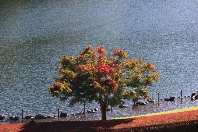 碓氷湖の紅葉１<br />