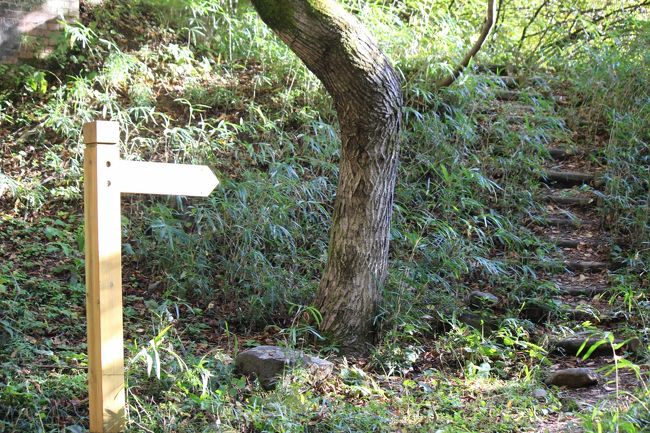 中山道の分かれ道