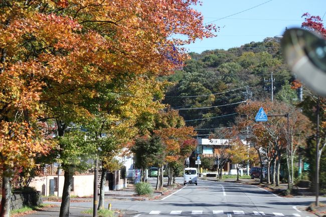 軽井沢の町は紅葉の見頃を迎えていました
