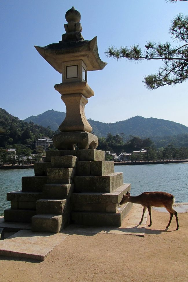 Solitary Journey ［1779］ 日本三景安芸の宮島へ＜厳島神社