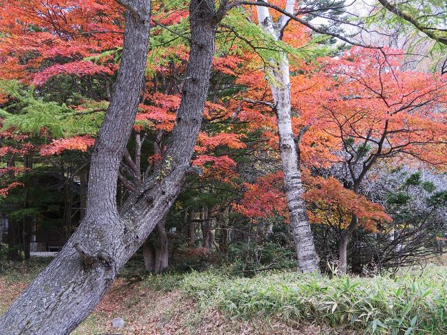 日光湯元温泉2<br /><br />＜刻/とき＞<br /><br />　　あっという間に夏が過ぎ<br />　　えっという間に秋がきて<br />　　山肌赤く燃え上がり<br />　　ウロコ雲ならなお高く<br />　　今日も小鳥は鳴き叫ぶ<br /><br />　　あっという間に刻が過ぎ<br />　　振り返る間もなく<br />　　冬が来る<br />