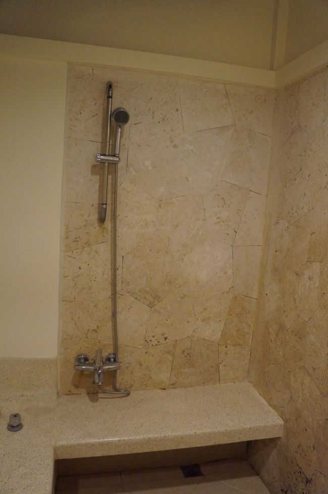 シャワー<br />出水は、問題なしです。