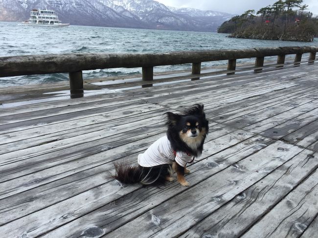 とん丸2号です。初登場。<br />風が本当に強かった。