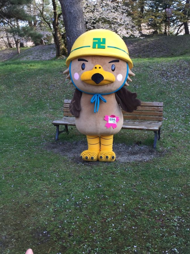 帰り際、弘前市のゆるキャラ「たか丸くん」発見。<br />弘前城工事中のため、安全ヘルメット着用中です！