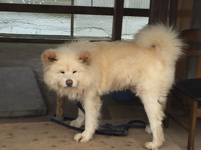 わさおいた～！！！