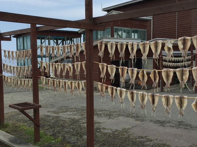 懐かしい景色。