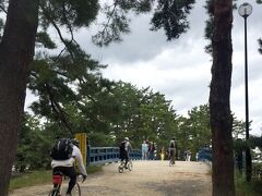 天橋立は全長３.６ｋｍ。

２時間４００円とかのレンタサイクルもあって、こっちで借りてあっちで返す、というのもできます。

１台借りれば夫婦で通り抜けができるじゃね？！と思ってＦＩＡＴ号を持ってきたけど、そこは父から丁寧に断られた。（なんでよー ブー！）