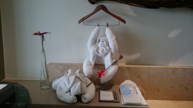 リンバジンバランアヤナ<br />帰国前日<br />お部屋がこんな感じに(´▽｀)