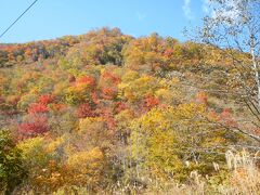 おそばを食べて少しドライブ。
泉ヶ岳方面へ登ってみましょう。

紅葉がちょうど見ごろ。
錦織の風景を見ることが出来ました。